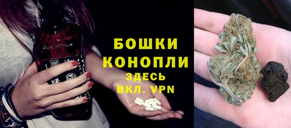ПСИЛОЦИБИНОВЫЕ ГРИБЫ Горнозаводск