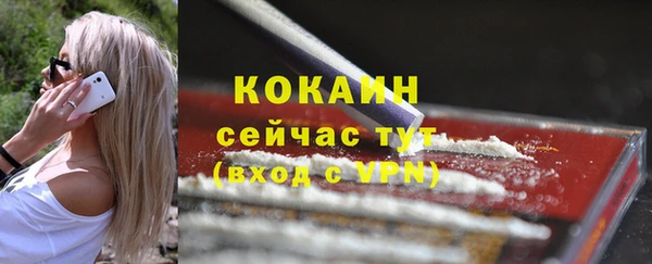 шишки Горно-Алтайск