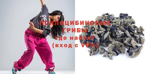 шишки Горно-Алтайск