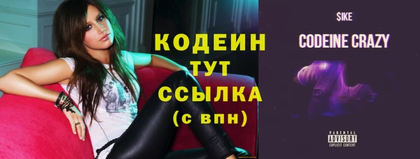 шишки Горно-Алтайск