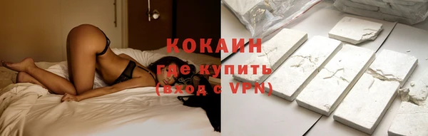 шишки Горно-Алтайск