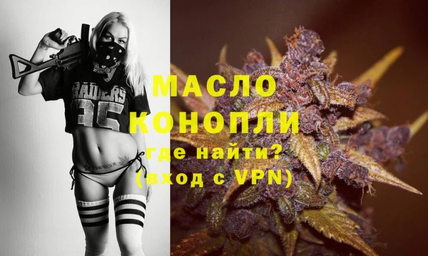 шишки Горно-Алтайск