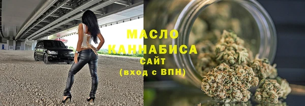 шишки Горно-Алтайск