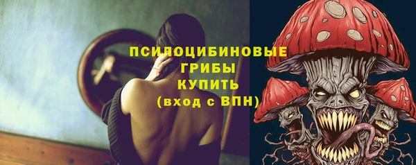 шишки Горно-Алтайск
