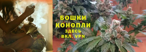 шишки Горно-Алтайск